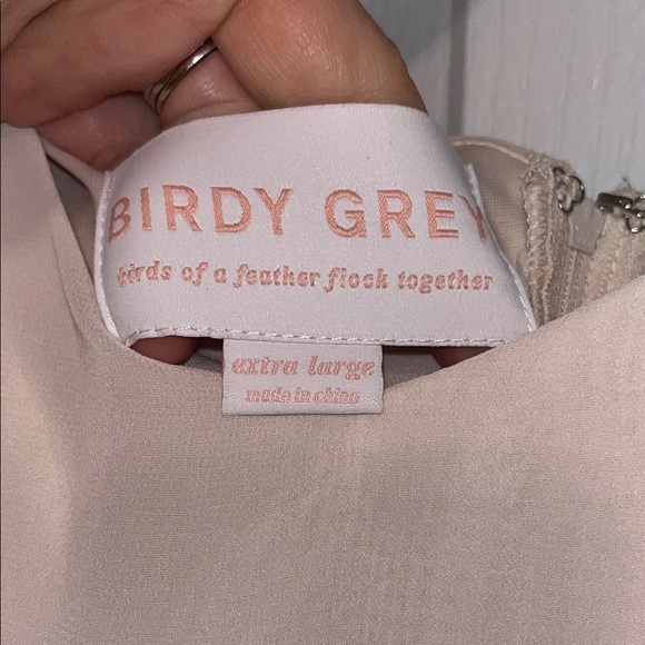 Light Neutral Ruffle Dress - Picture 4 of 5